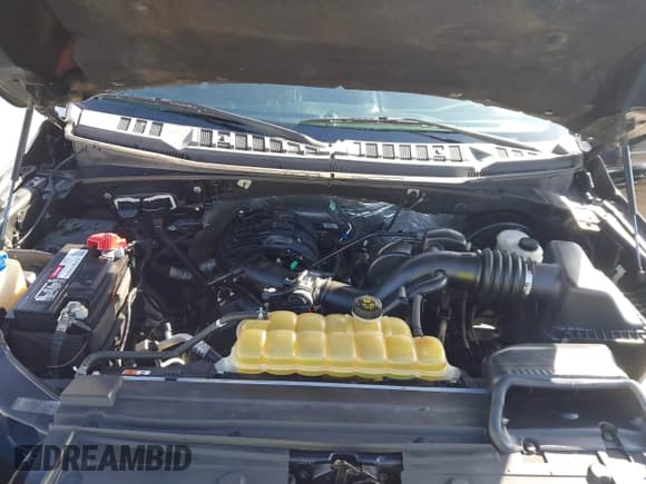 ✅ 2016 Ford F-150 XL • VIN: 1FTEX1C89GKG01091 • Lot: 41579269. Listed on IAAI with 117,698 mi. Free auction sales archive from the USA and detailed vehicle history report at DreamBid. Image 10.