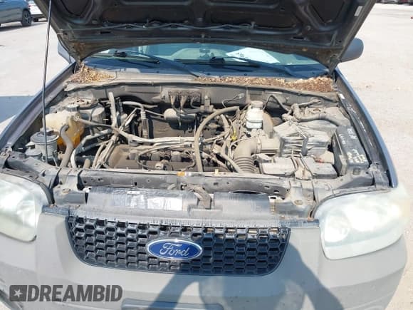✅ 2007 Ford Escape XLS • VIN: 1FMYU02Z97KA03881 • Лот: 42481965. Опубликован ранее на IAAI с пробегом 124 703 миль. Бесплатный доступ к архиву аукционных продаж из США и подробный отчёт об истории автомобиля на DreamBid. Изображение 10.
