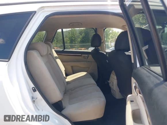 ✅ 2008 Hyundai Santa Fe SE • VIN: 5NMSH73E08H207954 • Lot: 42844761. Wystawiony na IAAI z przebiegiem 293 523 mil. Bezpłatny archiwum sprzedaży aukcyjnych z USA i szczegółowy raport historii pojazdu na DreamBid. Zdjęcie 8.