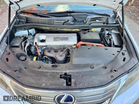 ✅ 2010 Lexus HS 250h • VIN: JTHBB1BA0A2007484 • Lot: 77915444. Listed on Copart with 141,668 mi. Free auction sales archive from the USA and detailed vehicle history report at DreamBid. Image 7.