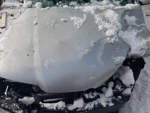 ✅ 2004 Volkswagen Jetta GL • VIN: 3VWRR69M04M131046 • Лот: 37286604. Опубликован ранее на Copart с пробегом Не указан. Бесплатный доступ к архиву аукционных продаж из США и подробный отчёт об истории автомобиля на DreamBid. Изображение 11.