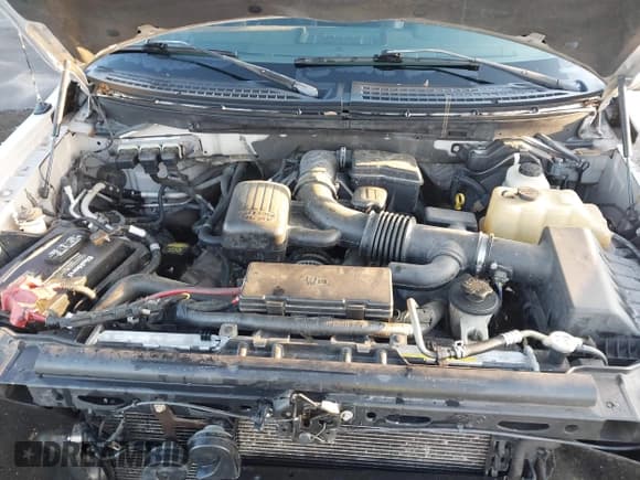 ✅ 2010 Ford F-150 XL • VIN: 1FTFW1EV8AFD87138 • Lot: 43797612. Listed on IAAI with 251,680 mi. Free auction sales archive from the USA and detailed vehicle history report at DreamBid. Image 10.