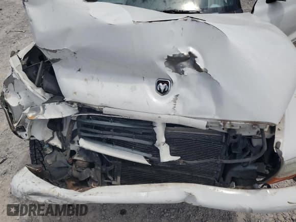 ✅ 2000 Dodge Durango • VIN: 1B4HS28N7YF251712 • Lot: 66712875. Wystawiony na Copart z przebiegiem 204 752 mil. Bezpłatny archiwum sprzedaży aukcyjnych z USA i szczegółowy raport historii pojazdu na DreamBid. Zdjęcie 12.