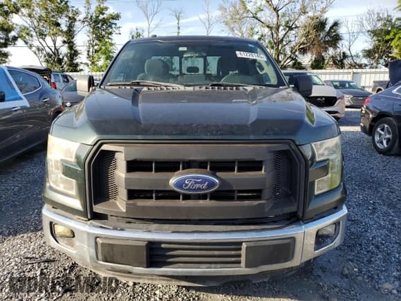 ✅ 2016 Ford F-150 XL • VIN: 1FTEX1C8XGFA51294 • Lot: 61220145. Listed on Copart with 245,174 mi. Free auction sales archive from the USA and detailed vehicle history report at DreamBid. Image 5.