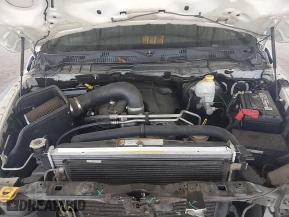 ✅ 2010 Dodge 1500 Sport • VIN: 1D7RB1CT1AS130944 • Лот: 65475285. Размещён на Copart с пробегом 227 219 миль миль. Получите бесплатный доступ к архиву аукционных продаж из США и посмотрите подробный отчёт об истории автомобиля на DreamBid. Изображение 11.