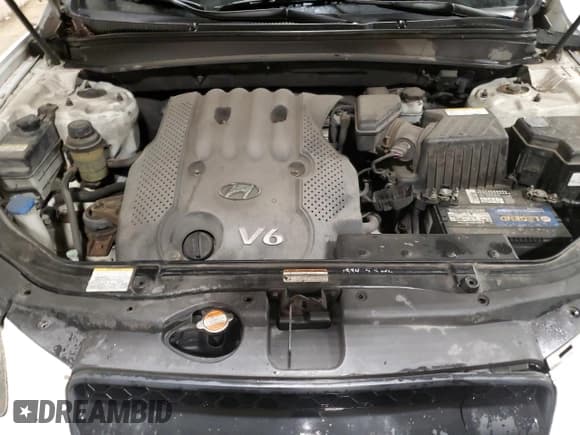 ✅ 2008 Hyundai Santa Fe GLS • VIN: 5NMSG73D48H163032 • Lot: 84243964. Listed on Copart with 270,175 mi. Free auction sales archive from the USA and detailed vehicle history report at DreamBid. Image 12.