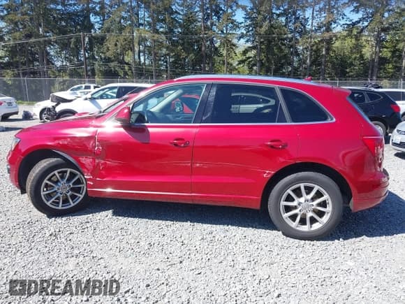 ✅ 2010 Audi Q5 Premium Plus • VIN: WA1LKAFP9AA096749 • Lot: 42058422. Listed on IAAI with 163,772 mi. Free auction sales archive from the USA and detailed vehicle history report at DreamBid. Image 14.