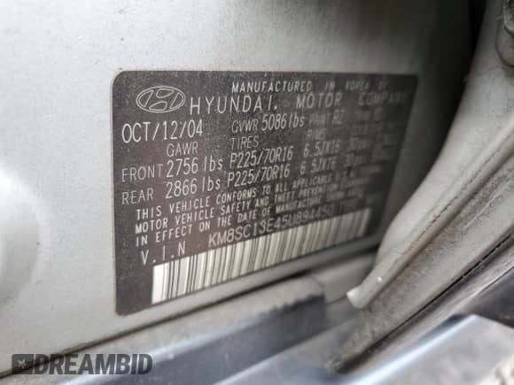 2005 Hyundai Santa Fe GLS with VIN KM8SC13E45U894450, listed as a Copart auction lot 81126475 with 117,824 mi miles and Salvage title. Bid and sale history available at DreamBid. Image 13.
