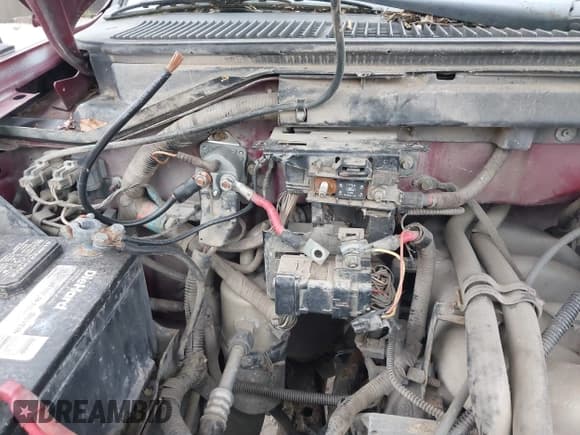 ✅ 1998 Ford F-150 • VIN: 1FTZF1826WNA62208 • Lot: 43854921. Wystawiony na IAAI z przebiegiem 182 484 mil. Bezpłatny archiwum sprzedaży aukcyjnych z USA i szczegółowy raport historii pojazdu na DreamBid. Zdjęcie 6.