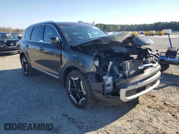 ✅ 2024 Kia Telluride S • VIN: 5XYP64GC3RG499047 • Lot: 91560965. Listed on Copart with 51,251 mi. Free auction sales archive from the USA and detailed vehicle history report at DreamBid. Image 4.