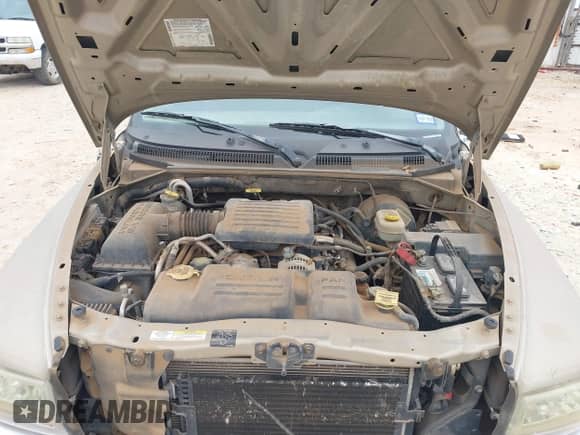 2002 Dodge Dakota SLT с VIN 1B7GL42N42S570015, выставлен на аукционе IAAI как лот 41339483 с пробегом 122 182 миль миль и . История ставок и продаж доступна на DreamBid. Изображение 10.