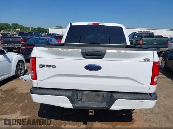 ✅ 2017 Ford F-150 XL • VIN: 1FTEW1CP4HKC71288 • Lot: 41925475. Wystawiony na IAAI z przebiegiem 156 330 mil. Bezpłatny archiwum sprzedaży aukcyjnych z USA i szczegółowy raport historii pojazdu na DreamBid. Zdjęcie 16.