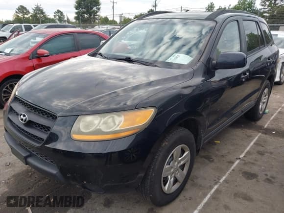 ✅ 2009 Hyundai Santa Fe GLS • VIN: 5NMSG13D29H322340 • Lot: 43335825. Listed on IAAI with 306,617 mi. Free auction sales archive from the USA and detailed vehicle history report at DreamBid. Image 2.