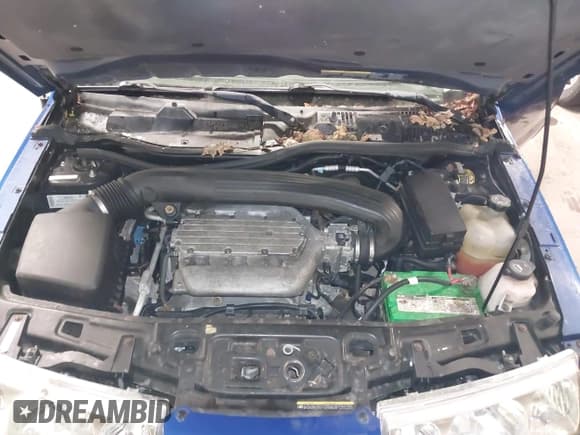 ✅ 2005 Saturn VUE • VIN: 5GZCZ63405S846000 • Lot: 42081031. Wystawiony na IAAI z przebiegiem 107 517 mil. Bezpłatny archiwum sprzedaży aukcyjnych z USA i szczegółowy raport historii pojazdu na DreamBid. Zdjęcie 10.