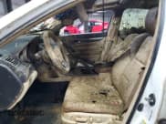 ✅ 2012 Acura TL Auto • VIN: 19UUA8F25CA034036 • Lot: 82748825. Listed on Copart with Not provided. Free auction sales archive from the USA and detailed vehicle history report at DreamBid. Image 7.