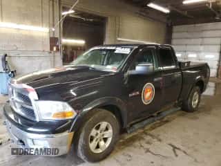 2009 Dodge 1500 SLT z VIN 1D3HV18P49S706330, wystawiony jako Copart lot #79635833 z przebiegiem 174 720 mil mil oraz Szkoda całkowita • Salvage title. Historia ofert i sprzedaży dostępna na DreamBid. Obrazek 1.