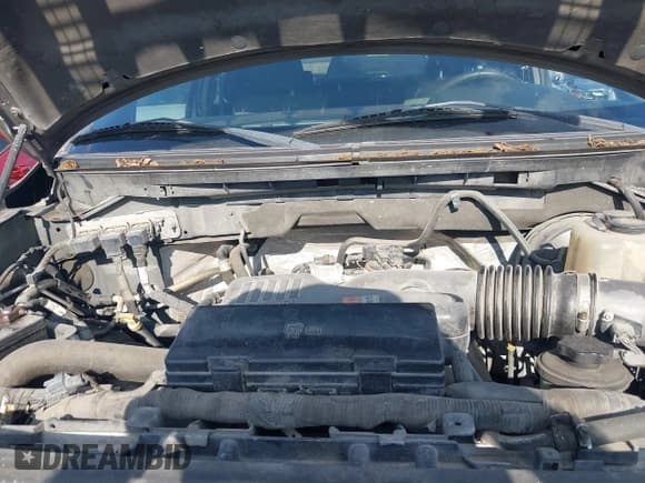 ✅ 2009 Ford F-150 STX • VIN: 1FTRX12W39KB84085 • Lot: 43130751. Wystawiony na IAAI z przebiegiem 192 434 mil. Bezpłatny archiwum sprzedaży aukcyjnych z USA i szczegółowy raport historii pojazdu na DreamBid. Zdjęcie 10.