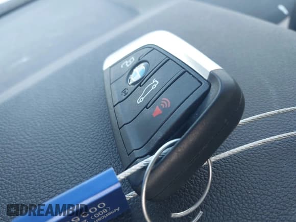 ✅ 2023 BMW X3 sDrive30i • VIN: 5UX43DP03P9R75120 • Lot: 43692847. Wystawiony na IAAI z przebiegiem 48 425 mil. Bezpłatny archiwum sprzedaży aukcyjnych z USA i szczegółowy raport historii pojazdu na DreamBid. Zdjęcie 11.