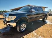 ✅ 2009 Ford F-150 XL • VIN: 1FTPW14V29FA28837 • Lot: 87018735. Listed on Copart with 194,065 mi. Free auction sales archive from the USA and detailed vehicle history report at DreamBid. Image 1.