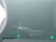 2015 Ford Mustang GT с VIN 1FA6P8CF4F5310108, выставлен на аукционе IAAI как лот 43285870 с пробегом 66 019 миль миль и . История ставок и продаж доступна на DreamBid. Изображение 15.