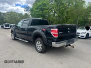 ✅ 2010 Ford F-150 XL • VIN: 1FTFW1EV9AFC99585 • Lot: 57721835. Listed on Copart with 145,579 mi. Free auction sales archive from the USA and detailed vehicle history report at DreamBid. Image 3.