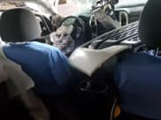 ✅ 2020 Nissan Titan SV • VIN: 1N6AA1EF7LN501251 • Лот: 64177615. Опубликован ранее на Copart с пробегом 35 367 миль. Бесплатный доступ к архиву аукционных продаж из США и подробный отчёт об истории автомобиля на DreamBid. Изображение 8.