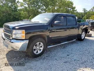 ✅ 2009 Chevrolet Silverado 1500 Work Truck • VIN: 3GCEC13C79G236226 • Lot: 67317815. Wystawiony na Copart z przebiegiem 263 397 mil. Bezpłatny archiwum sprzedaży aukcyjnych z USA i szczegółowy raport historii pojazdu na DreamBid. Zdjęcie 1.