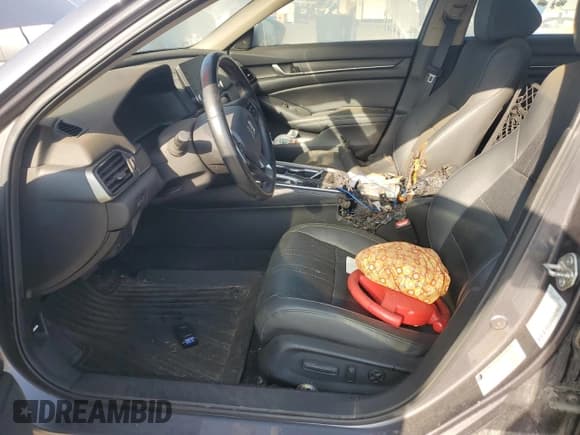 ✅ 2019 Honda Accord EX-L • VIN: 1HGCV1F51KA041453 • Lot: 82198375. Listed on Copart with Not provided. Free auction sales archive from the USA and detailed vehicle history report at DreamBid. Image 7.