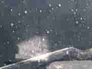 2024 Dodge Hornet GT z VIN ZACNDFAN5R3A42900, wystawiony jako IAAI lot #41126271 z przebiegiem Nie podano mil oraz . Historia ofert i sprzedaży dostępna na DreamBid. Obrazek 14.