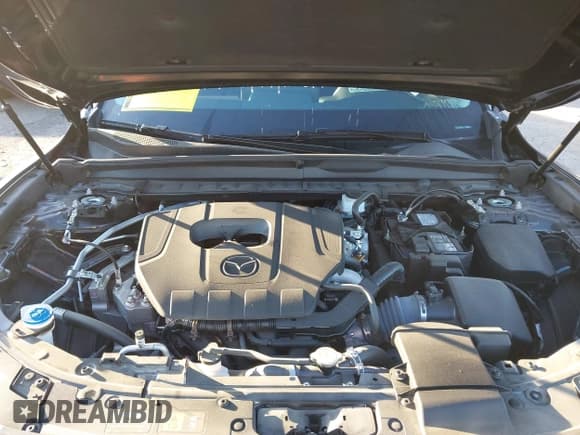 ✅ 2025 Mazda CX-50 S Premium • VIN: 7MMVABDM2SN308563 • Lot: 43559518. Listed on IAAI with 10,045 mi. Free auction sales archive from the USA and detailed vehicle history report at DreamBid. Image 10.