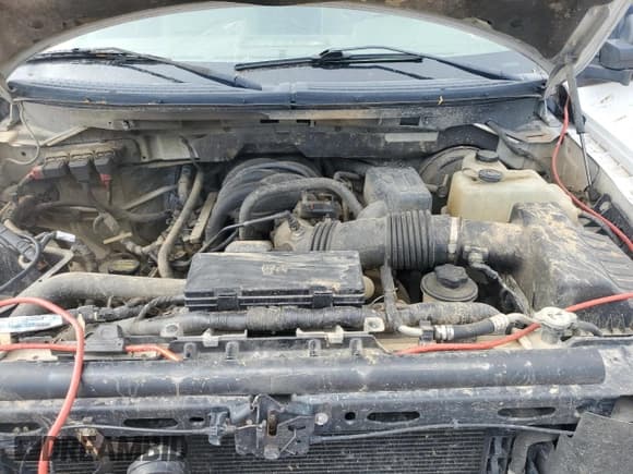 ✅ 2009 Ford F-150 XL • VIN: 1FTRF12819KB32135 • Лот: 62860825. Опубликован ранее на Copart с пробегом 266 068 миль. Бесплатный доступ к архиву аукционных продаж из США и подробный отчёт об истории автомобиля на DreamBid. Изображение 11.