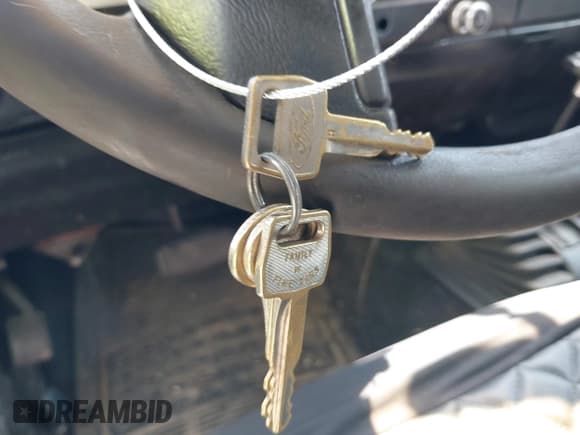 ✅ 1988 Ford Bronco • VIN: 1FMCU14T9JUD09807 • Lot: 42633848. Wystawiony na IAAI z przebiegiem 33 253 mil. Bezpłatny archiwum sprzedaży aukcyjnych z USA i szczegółowy raport historii pojazdu na DreamBid. Zdjęcie 11.