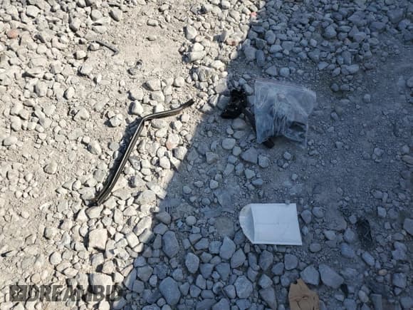 ✅ 1995 Ford F-150 • VIN: 1FTDF15Y8SNA74065 • Lot: 54408825. Listed on Copart with 156,439 mi. Free auction sales archive from the USA and detailed vehicle history report at DreamBid. Image 12.