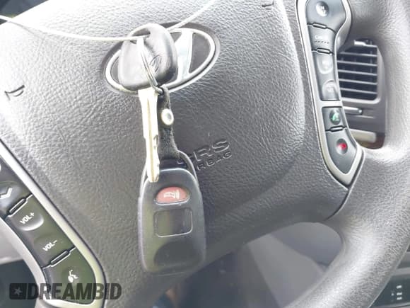 ✅ 2010 Hyundai Santa Fe GLS • VIN: 5NMSG3AB3AH384296 • Лот: 43223357. Опубликован ранее на IAAI с пробегом 160 962 миль. Бесплатный доступ к архиву аукционных продаж из США и подробный отчёт об истории автомобиля на DreamBid. Изображение 11.