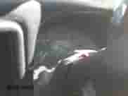 2001 Chevrolet Silverado 1500 с VIN 1GCEK14W11Z140558, выставлен на аукционе Copart как лот 76209344 с пробегом Не указан миль и На запчасти • Non repairable. История ставок и продаж доступна на DreamBid. Изображение 9.