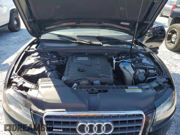✅ 2010 Audi A5 Premium Plus • VIN: WAULFAFH0AN025108 • Lot: 89575485. Listed on Copart with Not provided. Free auction sales archive from the USA and detailed vehicle history report at DreamBid. Image 11.