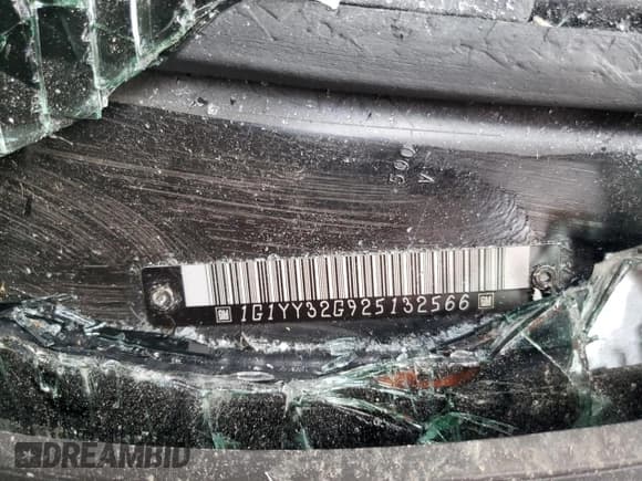 ✅ 2002 Chevrolet Corvette • VIN: 1G1YY32G925132566 • Lot: 60800205. Listed on Copart with Not provided. Free auction sales archive from the USA and detailed vehicle history report at DreamBid. Image 13.