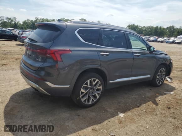 ✅ 2023 Hyundai Santa Fe Calligraphy • VIN: 5NMS5DAL2PH505977 • Lot: 61923514. Wystawiony na Copart z przebiegiem 43 313 mil. Bezpłatny archiwum sprzedaży aukcyjnych z USA i szczegółowy raport historii pojazdu na DreamBid. Zdjęcie 3.