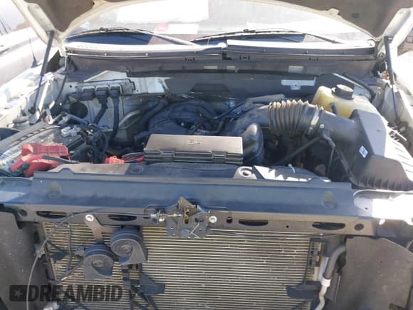 ✅ 2014 Ford F-150 XL • VIN: 1FTMF1CM6EKE34293 • Lot: 43519185. Wystawiony na IAAI z przebiegiem 143 807 mil. Bezpłatny archiwum sprzedaży aukcyjnych z USA i szczegółowy raport historii pojazdu na DreamBid. Zdjęcie 10.