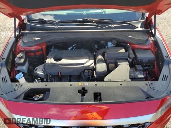 ✅ 2020 Hyundai Santa Fe SEL • VIN: 5NMS3CADXLH230779 • Lot: 59755364. Wystawiony na Copart z przebiegiem 65 143 mil. Bezpłatny archiwum sprzedaży aukcyjnych z USA i szczegółowy raport historii pojazdu na DreamBid. Zdjęcie 12.