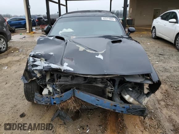 ✅ 2009 Dodge Challenger SE • VIN: 2B3LJ44V89H559734 • Lot: 42571805. Wystawiony na Copart z przebiegiem 189 616 mil. Bezpłatny archiwum sprzedaży aukcyjnych z USA i szczegółowy raport historii pojazdu na DreamBid. Zdjęcie 5.