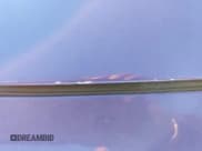 ✅ 2016 Dodge Challenger R/T • VIN: 2C3CDZBTXGH172429 • Lot: 43810767. Wystawiony na IAAI z przebiegiem 52 822 mil. Bezpłatny archiwum sprzedaży aukcyjnych z USA i szczegółowy raport historii pojazdu na DreamBid. Zdjęcie 17.