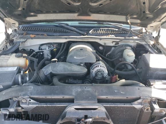 ✅ 2005 Chevrolet Silverado 1500 Work Truck • VIN: 1GCEC14V05Z141128 • Lot: 63836695. Listed on Copart with 181,453 mi. Free auction sales archive from the USA and detailed vehicle history report at DreamBid. Image 11.