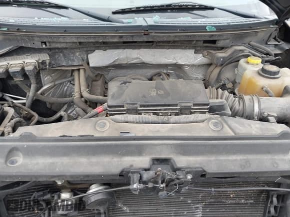 ✅ 2014 Ford F-150 XLT • VIN: 1FTFW1EF9EFA10297 • Lot: 43360409. Listed on IAAI with 161,251 mi. Free auction sales archive from the USA and detailed vehicle history report at DreamBid. Image 10.