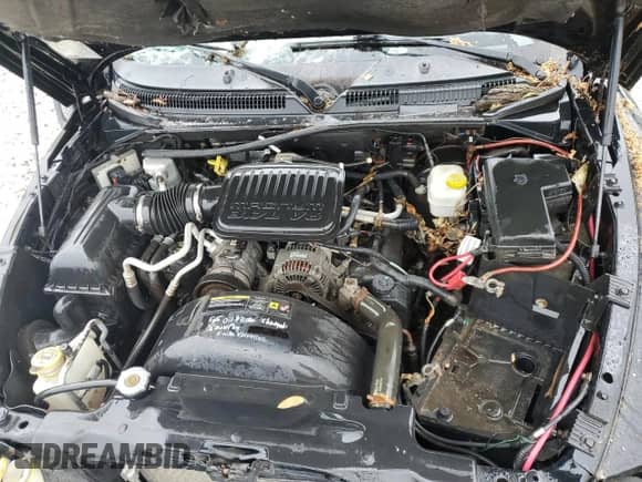 2005 Dodge Dakota SLT z VIN 1D7HW42K45S147642, wystawiony jako Copart lot #71209624 z przebiegiem 101 754 mil mil oraz Czysty tytuł • Clean title. Historia ofert i sprzedaży dostępna na DreamBid. Obrazek 11.