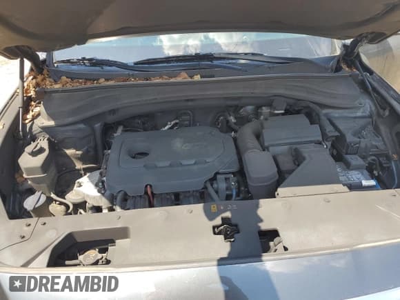 ✅ 2020 Hyundai Santa Fe SE • VIN: 5NMS23AD4LH261397 • Lot: 55644474. Wystawiony na Copart z przebiegiem 41 662 mil. Bezpłatny archiwum sprzedaży aukcyjnych z USA i szczegółowy raport historii pojazdu na DreamBid. Zdjęcie 11.