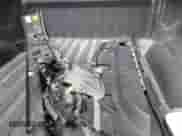 2019 Ram 1500 Tradesman с VIN 1C6SRFCT4KN612951, выставлен на аукционе IAAI как лот 41889524 с пробегом 153 310 миль миль и . История ставок и продаж доступна на DreamBid. Изображение 12.