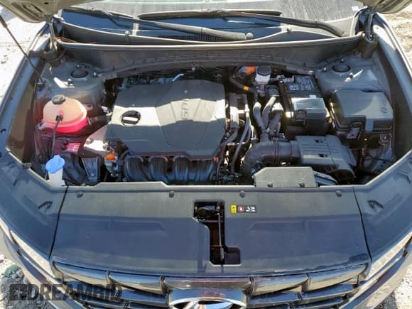 ✅ 2024 Hyundai Tucson SEL • VIN: 5NMJB3DE9RH319206 • Lot: 91005215. Wystawiony na Copart z przebiegiem 3 538 mil. Bezpłatny archiwum sprzedaży aukcyjnych z USA i szczegółowy raport historii pojazdu na DreamBid. Zdjęcie 11.