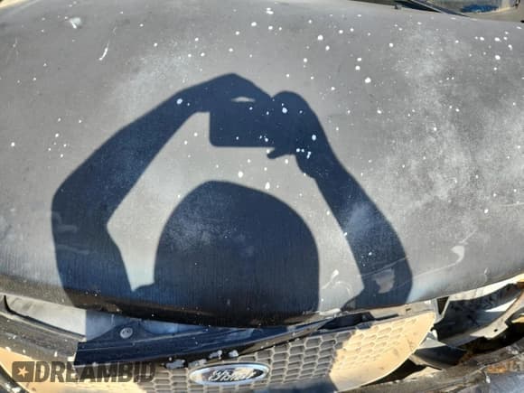 ✅ 2003 Ford F-150 XL • VIN: 1FTRX17WX3NA11629 • Лот: 85914865. Опубликован ранее на Copart с пробегом Не указан. Бесплатный доступ к архиву аукционных продаж из США и подробный отчёт об истории автомобиля на DreamBid. Изображение 11.