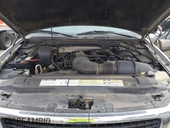 ✅ 1999 Ford Expedition XLT • VIN: 1FMPU18L3XLB00525 • Lot: 42777430. Wystawiony na IAAI z przebiegiem 167 442 mil. Bezpłatny archiwum sprzedaży aukcyjnych z USA i szczegółowy raport historii pojazdu na DreamBid. Zdjęcie 10.